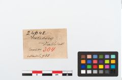 Etikett zu Bronzegewandnadel (NHMW-PRAE-024648)